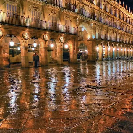 Espacioso Frente Al Corte Ingles Con Plaza De Garaje Gratis - Vu75